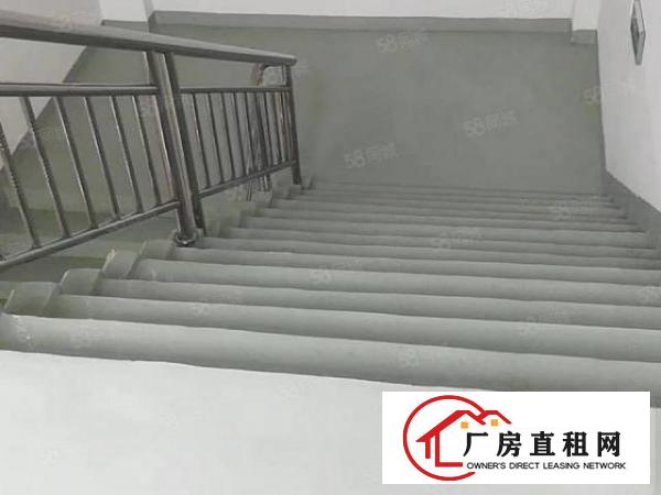  原房东1500平带装修办公室水电齐全环评独门独院厂房出租