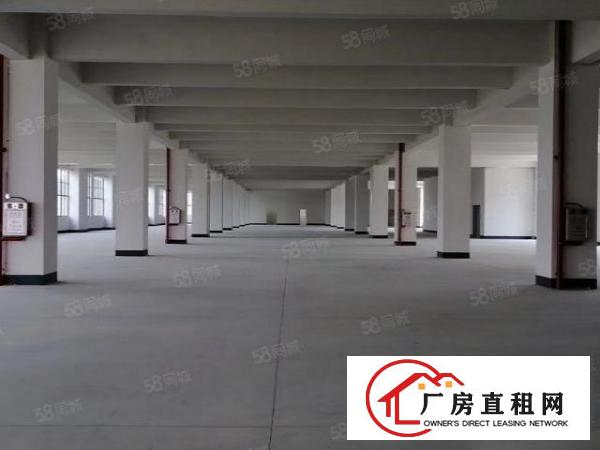  大岭山高速出口附近5000平米一楼出租，大小可分，可办环评