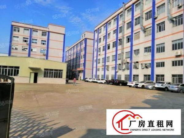  大塘村厚大路旁大型工业园新出楼上550平厂房出租价格优惠