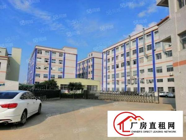  大塘村厚大路旁大型工业园新出楼上550平厂房出租价格优惠