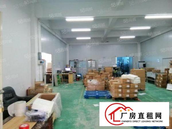  大塘村厚大路旁大型工业园新出楼上550平厂房出租价格优惠