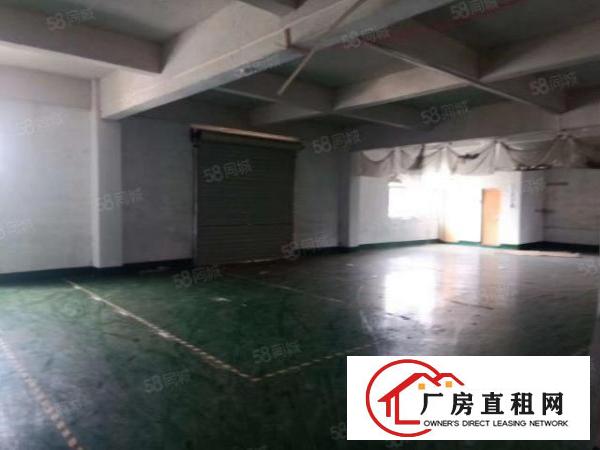  大岭山新出原房东独门独院厂房出租1600平方带宿舍地坪漆！