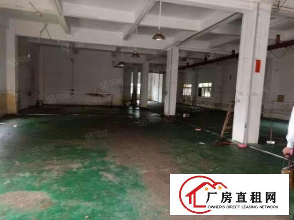  大岭山新出原房东独门独院厂房出租1600平方带宿舍地坪漆！