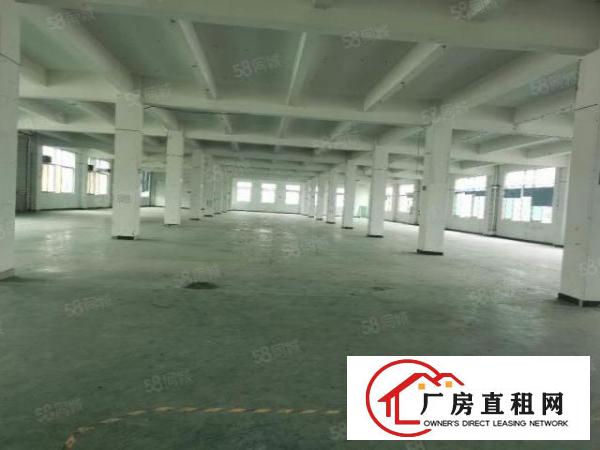  百花洞低价出租，带现成环评消防合格标准厂房1960平
