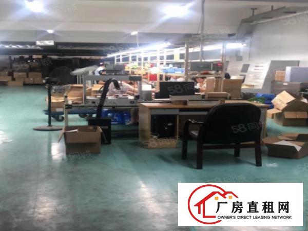  大岭山镇原房东出租楼上带前台办公室装修650平有3吨货梯