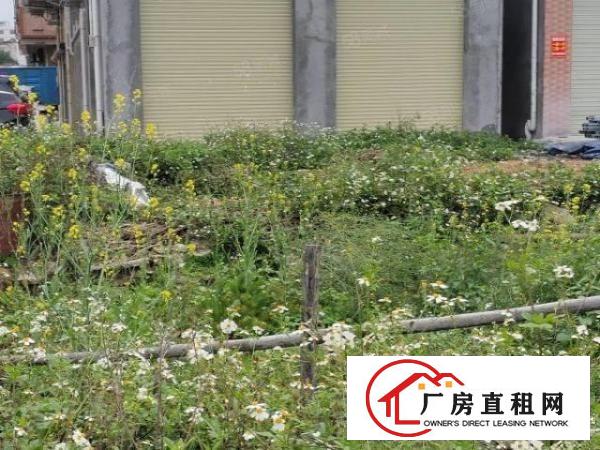  原房东免中介费！大岭山一楼二楼500平小面积，拎包生产