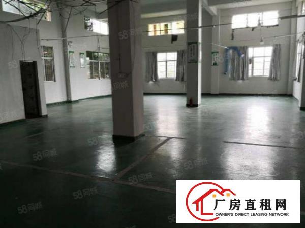  原房东免中介费！大岭山一楼二楼500平小面积，拎包生产