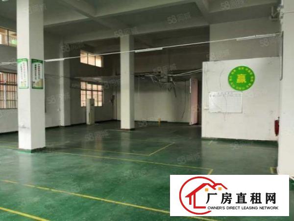  原房东免中介费！大岭山一楼二楼500平小面积，拎包生产