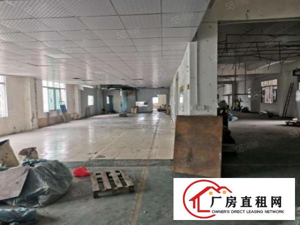  大岭山杨屋村工业园内顶层标准厂房400方低价出租，带办公室