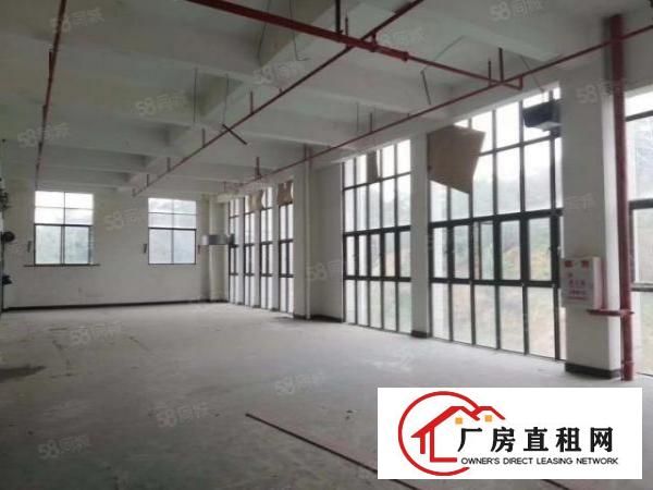  （环评）原房东新出单层4500平带无尘车间独门独院厂房出租