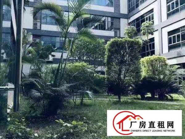  （环评）原房东新出单层4500平带无尘车间独门独院厂房出租
