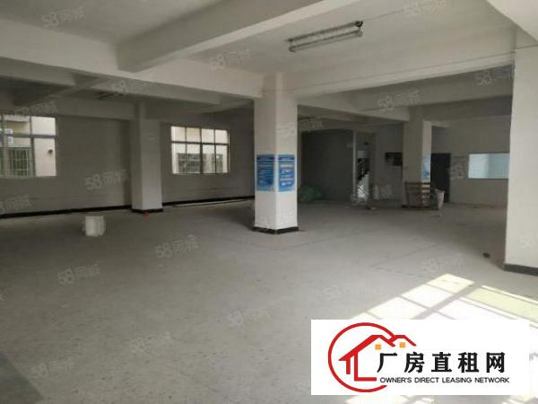  大岭山大片美厚大路边独院厂房3200平米出租