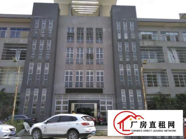  大岭山大型工业园新出1楼2楼各2300平高6.5米（可分租）