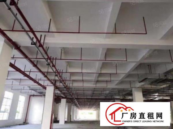  大岭山大型工业园新出1楼2楼各2300平高6.5米（可分租）