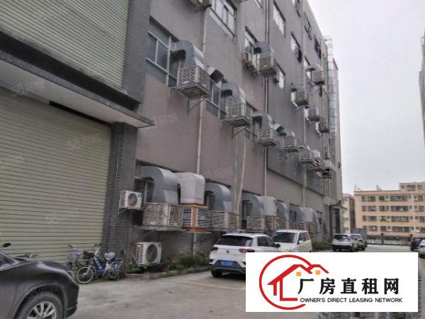  大岭山大型工业园新出1楼2楼各2300平高6.5米（可分租）