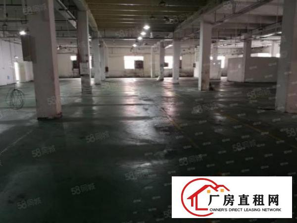  颜屋空出原房东独门独院3层4500平方厂房出租带现成地坪漆