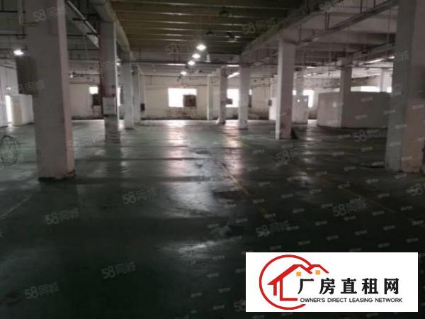  颜屋空出原房东独门独院3层4500平方厂房出租带现成地坪漆