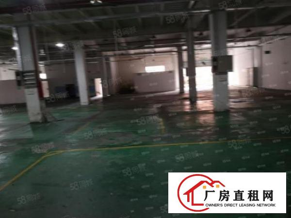  颜屋空出原房东独门独院3层4500平方厂房出租带现成地坪漆