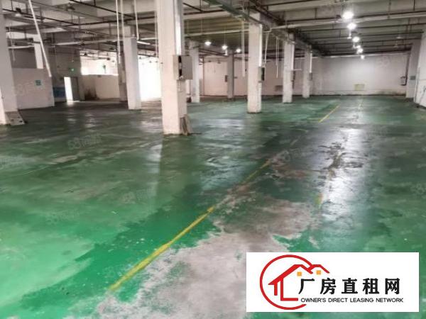  颜屋空出原房东独门独院3层4500平方厂房出租带现成地坪漆