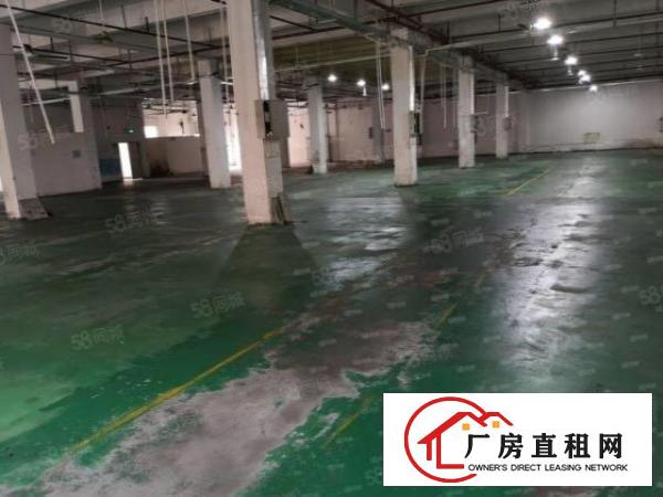  颜屋空出原房东独门独院3层4500平方厂房出租带现成地坪漆