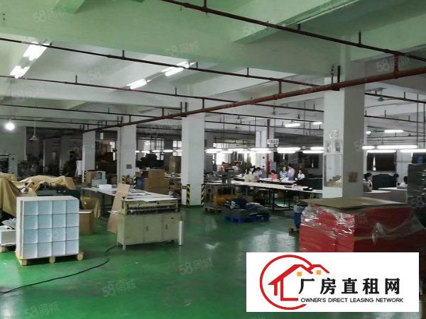  颜屋新空出独门独院二楼900平方厂房出租带精装修