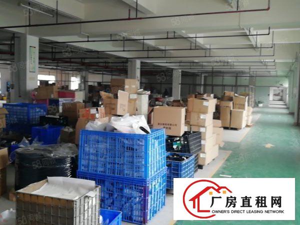  颜屋新空出独门独院二楼900平方厂房出租带精装修