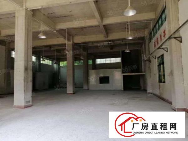  小仓库！小仓库！大岭山原房东独栋标准厂房600平出租
