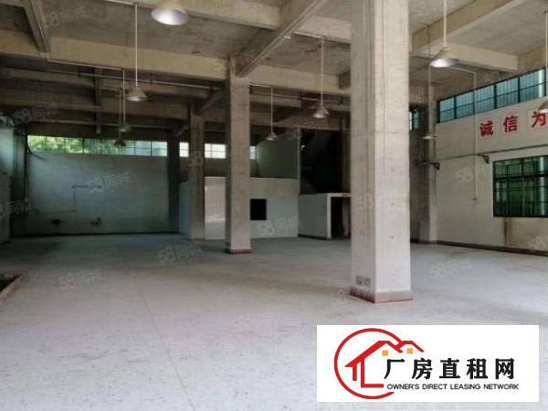  小仓库！小仓库！大岭山原房东独栋标准厂房600平出租