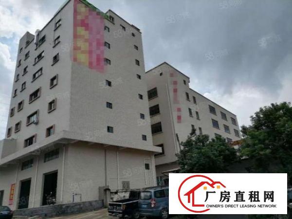  大岭山新出厂房分租一楼520平方，面积实在，不限行业