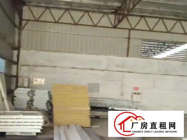  颜屋大路边空出独门独院单一层钢构1200平厂房出租带超大空地