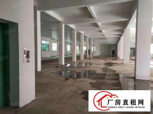  大岭山独门独院厂房5300平方出租，大小可分租