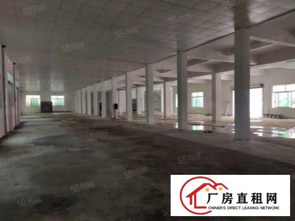  大岭山独门独院厂房5300平方出租，大小可分租
