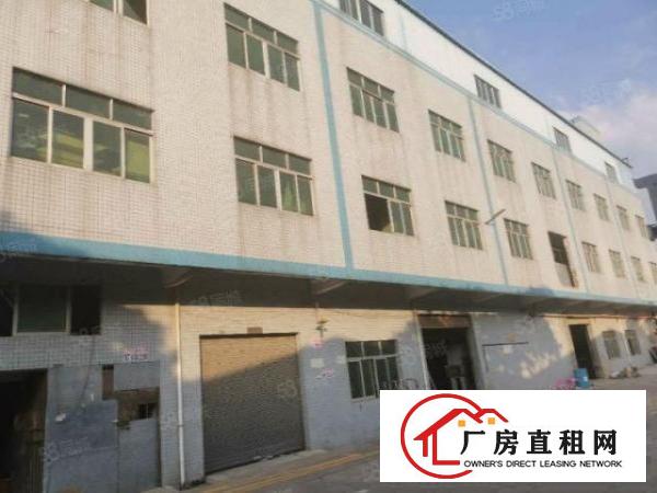  （可办环坪）大岭山大塘新空出标准独院4层5120平厂房出租
