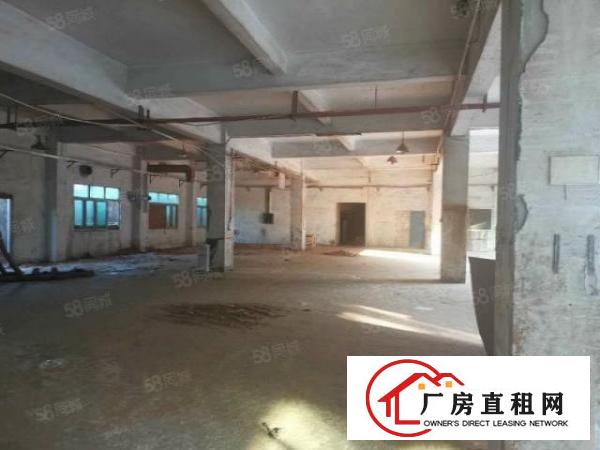  （可办环坪）大岭山大塘新空出标准独院4层5120平厂房出租