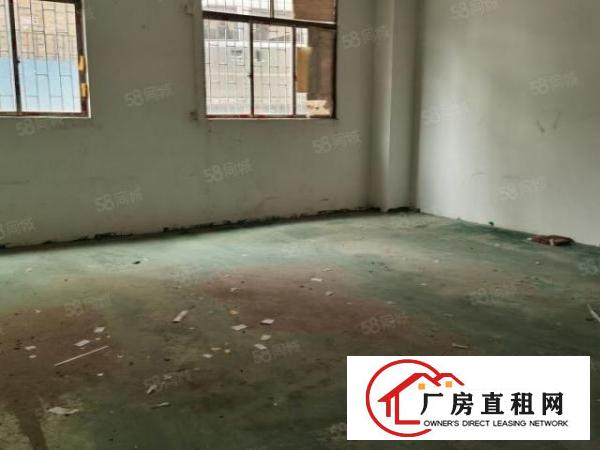  大岭山颜屋新出原房东300平方厂房火爆招租,现成办公室！