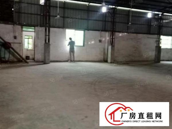  大岭山大沙村原房东单一层小独院400方铁皮厂房低价出租