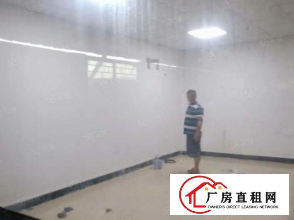  大岭山大沙村原房东单一层小独院400方铁皮厂房低价出租