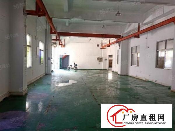  大岭山新出原房东一楼680平方厂房出租带行车价格便宜！