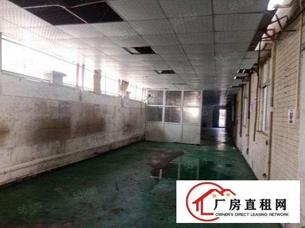  大岭山新出原房东一楼680平方厂房出租带行车价格便宜！