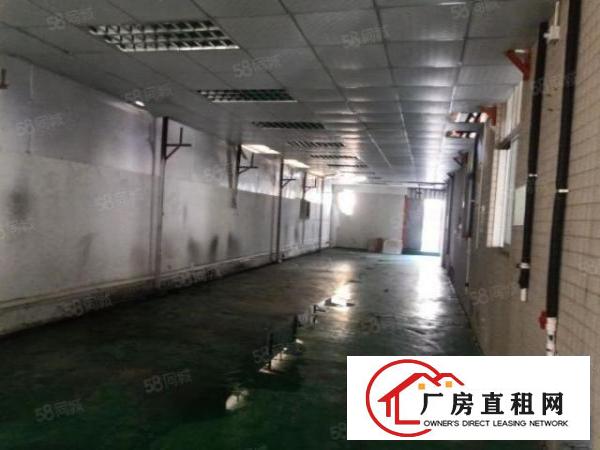  大岭山新出原房东一楼680平方厂房出租带行车价格便宜！