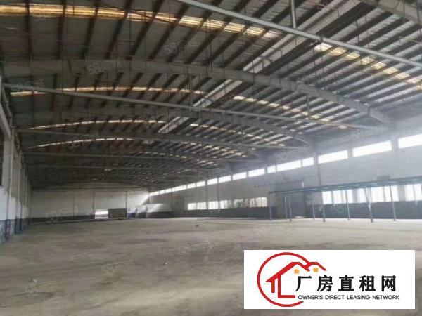  免中介费！大岭山新出超大空地物流园，单一层24000厂房出租
