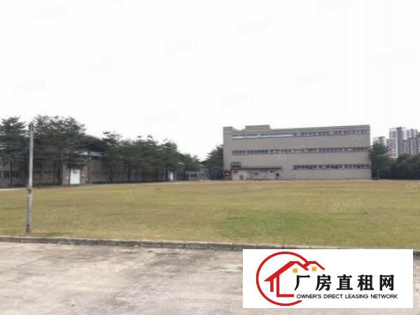  免中介费！大岭山新出超大空地物流园，单一层24000厂房出租