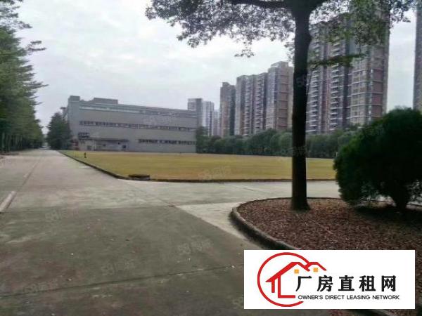  免中介费！大岭山新出超大空地物流园，单一层24000厂房出租