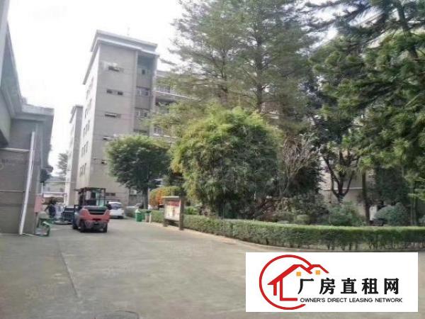  免中介费！大岭山新出超大空地物流园，单一层24000厂房出租