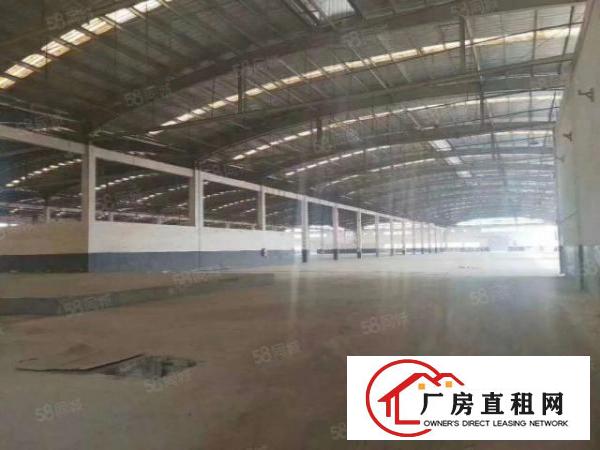  免中介费！大岭山新出超大空地物流园，单一层24000厂房出租