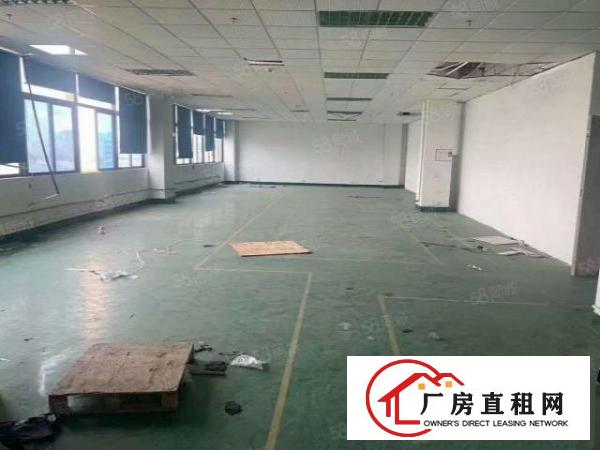  大岭山镇工业园出租楼上1000平厂房格局好可分租3家