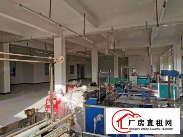  大沙空出原房东独栋民房2层800平厂房出租价格美丽无公摊