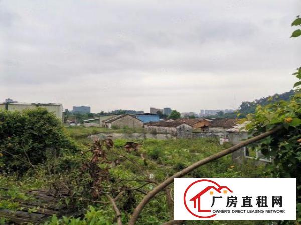  原房东直租单一层铁皮1000平出租超大空地