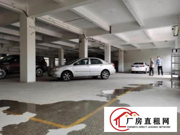 大岭山新出独院厂房850平方，交通便利，租金优惠