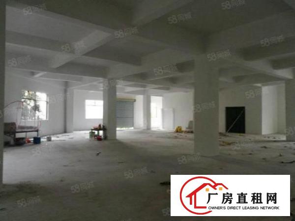 杨屋村原房东标准3层1000平厂房出租无公摊现成水电装修